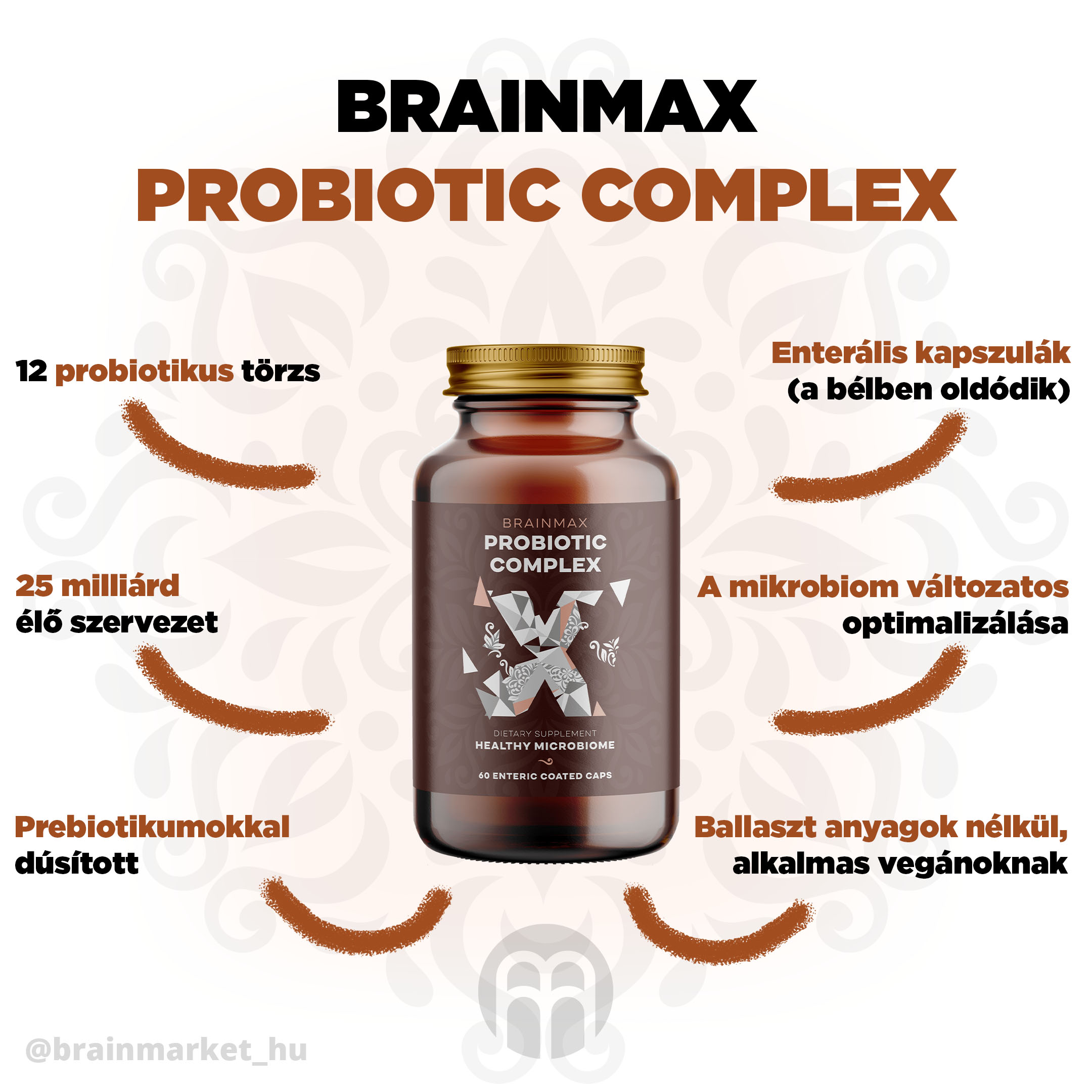 brainmax probiotika blog-infografika brainmarket HU